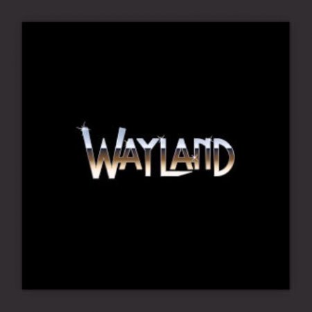 Альбом Wayland - Wayland 2010 MP3 скачать торрент