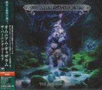 Альбом Omnium Gatherum - The Burning Cold [Japanese Edition] 2018 FLAC скачать торрент