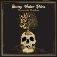 Альбом Stump Water Shine - Controversial Conscience 2018 MP3 скачать торрент