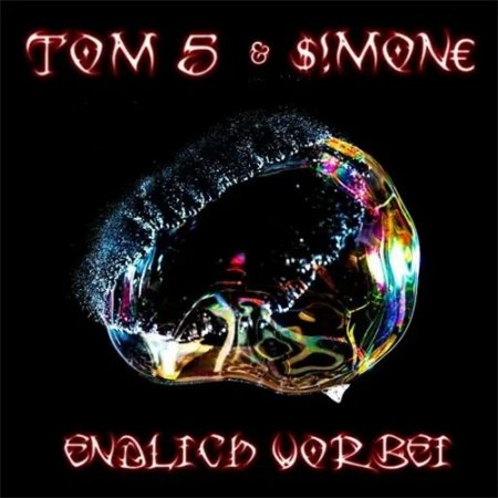 Альбом Thomas Hoffmann - Tom 5 & Simone Endlich Vorbei 2019 MP3 скачать торрент